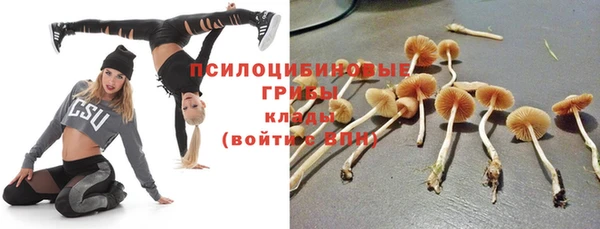 ПСИЛОЦИБИНОВЫЕ ГРИБЫ Алексеевка