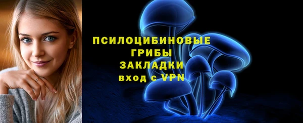 ПСИЛОЦИБИНОВЫЕ ГРИБЫ Алексеевка