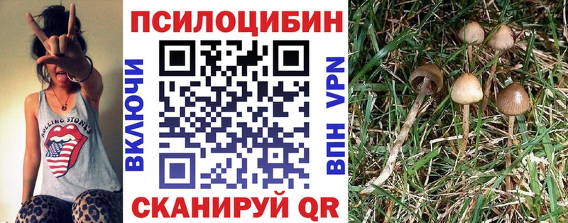 купить  сайты  Артём  Псилоцибиновые грибы GOLDEN TEACHER 